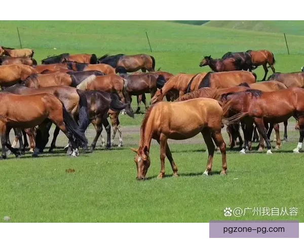 精彩瞬间!定位球的绝妙飞行轨迹,令人陶醉的足球魅力展现 精彩瞬间!定位球的绝妙飞行轨迹,令人陶醉的足球魅力展现