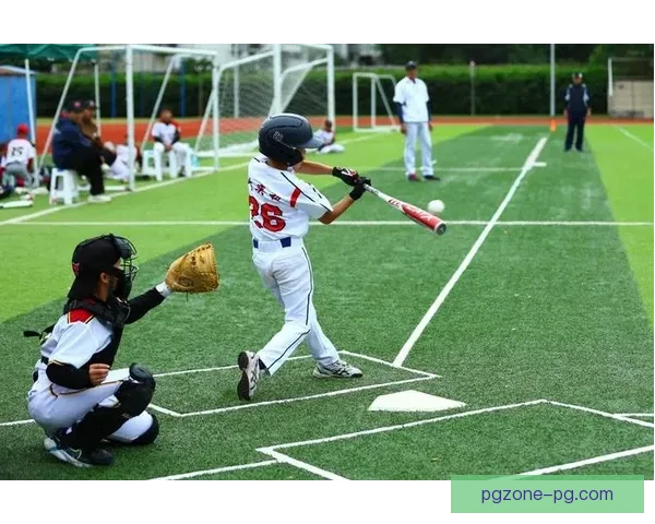 全面解读棒球基础知识及技巧