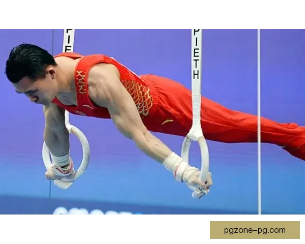 体操杯赛：挑战巅峰，创造辉煌