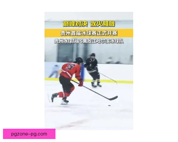 全面解读最新一届冰球公开赛的赛况与亮点