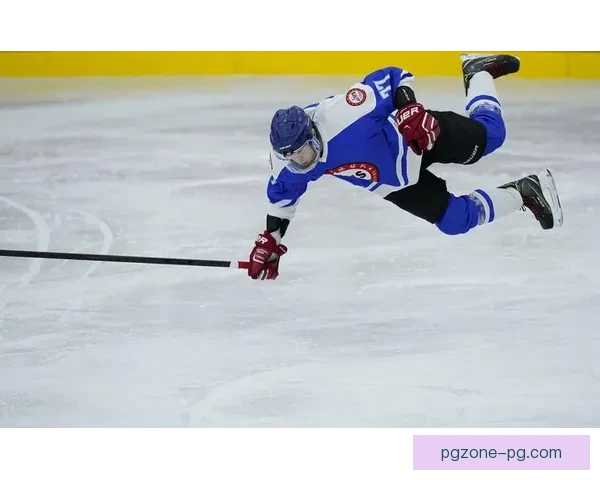 冰球锦标赛风云：热血激战！