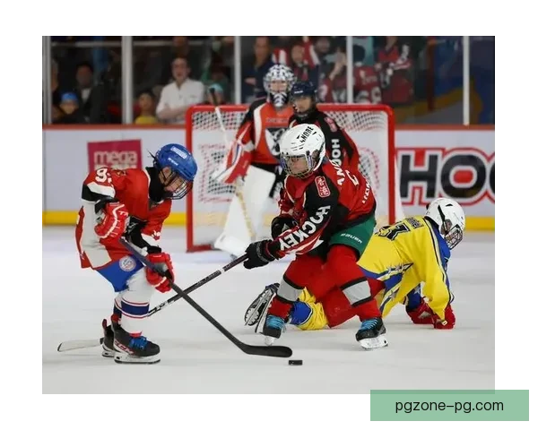 冰球竞技风云：热血激战，风暴再起