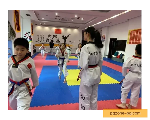 学习跆拳道技巧:实用教学视频分享 学习跆拳道技巧:实用教学视频分享