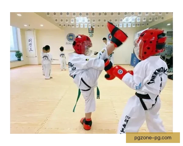 探寻背后的故事：聚焦跆拳道冠军的成长之路