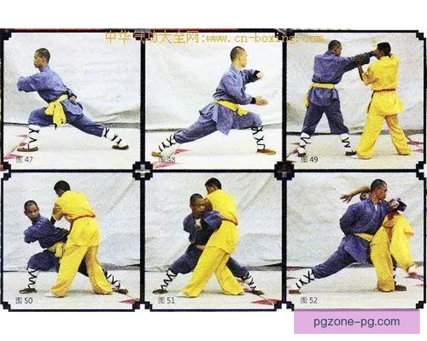 摔跤高手的制胜秘笈与技巧详解